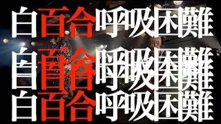 シェルミィ「白百合呼吸困難 」リリックビデオ