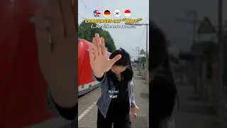 Languages say &ldquo;Wait!&rdquo;for different reasons?! 🤣🇩🇪🇰🇷🇮🇩#waitchallenge#german #korean #indonesian