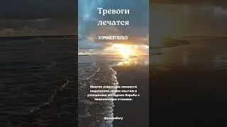Лечатся  #всд #лечениепаническихатак #паника