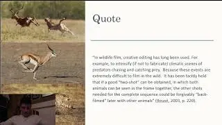Ethics of Wildlife Photo and Video Manipulation