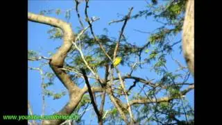 Nature and stuff - slideshow