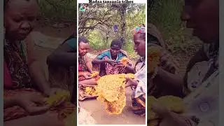 hadza tanzania people//MSD survey #facts #shorts