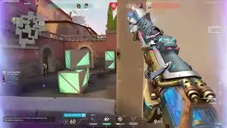 Inmortal AIM