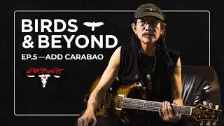 Birds & Beyond | EP.5 : สนทนาภาษาคนรักกีตาร์กับตำนาน PRS เมืองไทย 