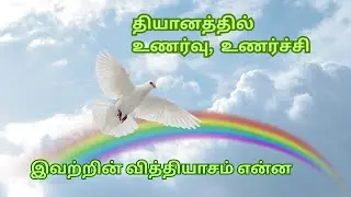 தியானத்தில் உணர்வு உணர்ச்சி | Consciousness and Emotion in Meditation | தியானம் | யோகம் | பக்தி