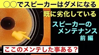 59【劣化する】エッジがダメに！スピーカーのメンテナンス方法 Grace Mahyaさん紹介　オーディオ入門38 音質改善マル秘大作戦59 yummy audio