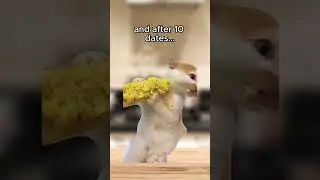 Cat Meme: How you eat on the first date vs. after 10 dates 😅 #shorts