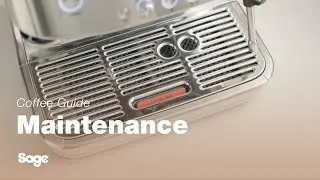 Barista Pro&trade; | Руководство по очистке поддона для сбора капель | Sage Appliances UK