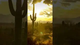 Dreamy Desert Dunes #destination #tour #toptrending #topnews #relaxing
