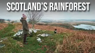 A walk through Crinan Wood, Scotland's rainforest, and back along the Crinan Canal