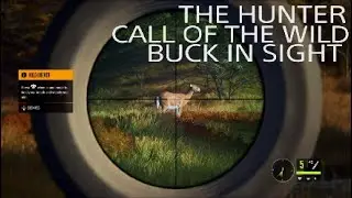 The Hunter Call Of The Wild Hunting A Buck Layton Lake District Getting The Lay Of The Land PS5🔥🦌🔫😱🤔