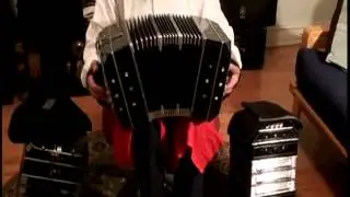 Bandoneon Solo Mariposita Tango