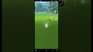 Eevee Community Day / Shiny Eevee Catch
