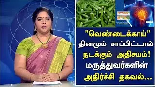 வெண்டைக்காய் மருத்துவ நன்மைகள்! | Health Benefits of Ladies Finger in Tamil| Nalam 360