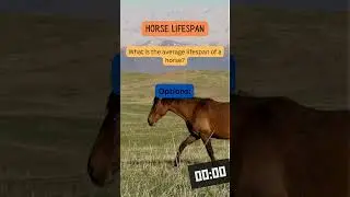 Horse Lifespan Secrets Revealed: How Long Do Horses Live?