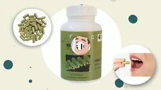 Neotea Keelanelli Capsules | Bhumi Amla | Chanca Piedra | Capsule Phyllanthus 500 MG - 100 Capsules