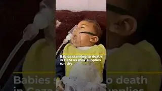 Thousands of babies and infants face starvation in Gaza as milk supplies run dry | AJ #shorts
