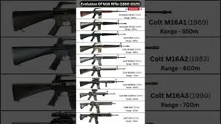 Evolution of the M16 Rifle (1956&ndash;2025): AMERICAN Infantry Iconic Rifle #shorts