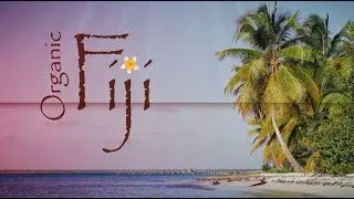 Organic Fiji - Certified organic, cold pressed, extra virgin coconut oil