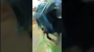 Nam Mari kuri Mari tagaru kunatoji jaani lovera jaa vaa nem ok peredasa power full kuri tubaa asara