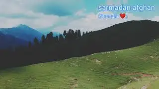 bahadarsar shangla
