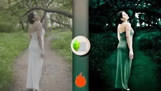 🥰 Snapseed Green Tone Color Editing | Trending Photo Editing Mobile | Niraj Editz
