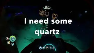 Crash fish explained in 34 seconds