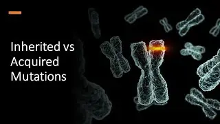 Inherited vs Acquired Mutations