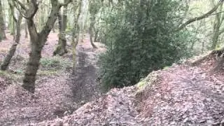 Ercall Freeride Quick Edit