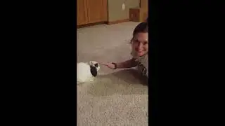 Oliver memorial video