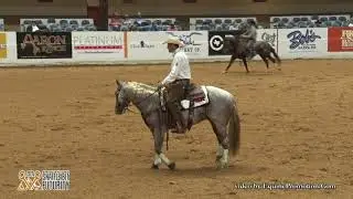 Bet He Sparks ridden by Clayton M. Edsall  - 2017 Snaffle Bit Futurity (Cow Work, IO/LO FINALS)