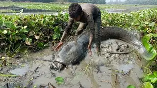 Lovely Fishing Moments Video! Incredible Hand-held Tact For Catching Catfish In River Side!
