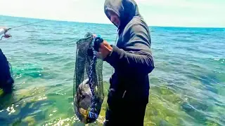 Begini cara mancing dasaran di karang dangkal agar dapat banyak