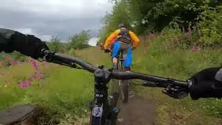 Day 2 - Pontypool
