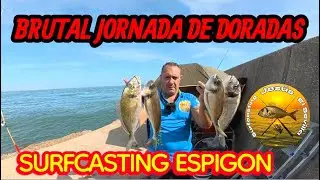 DORADAS A SURFCATING EN ESPIGON