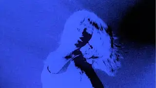 LOVE LANGUAGE - PARTYS OVER [FEAT. LEMONADE BABY + GILLIGAN MOSS]