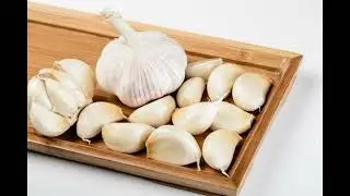 Garlic The Natural and Safe Way to Boost Your Racing Pigeons Stamina
