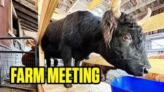 The Last Farm Meeting of the Year - December 2022