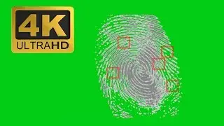 Fingerprint - Free Green Screen Effects 4K