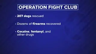 Hundreds of dogs rescued from a Dallas dog-fighting ring, officials say