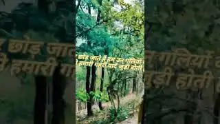 train through Jungle #forest #status #whatsappstatus #green #love