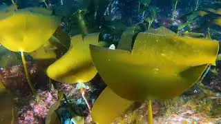 Dun Seilg Geodha 080524