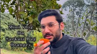 Sarkari Bag Ka Oranges 🍊