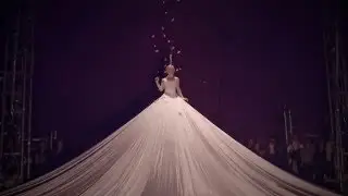 NoFit State Circus BIANCO under the Brooklyn Bridge! (:15 Spot)