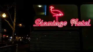 The Flamingo Motel San Jose | San Jose (CA), United States | Hotel Review🏨
