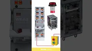 Smart Control Made Simple: General Relay with Dual Buttons & Indicators.