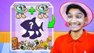 Can I Unlock ALL Italian Animal in DROP A BRAINROT Roblox!? 🤔