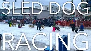 Alaska Story #9: Fur Rendezvous (Rondy) Festival - Sled Dog Racing (Our Final Alaskan Story)