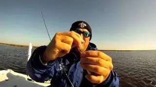 Topwater 
