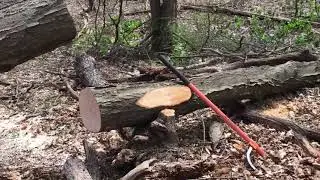 Don Webber Forest Recovery.  Logging with Harbor Freight 12000 Badlands Winch